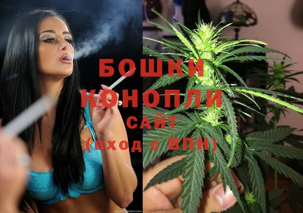 дживик Абаза