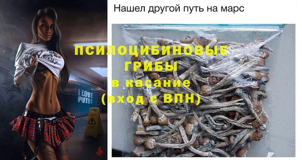 PSILOCYBIN Алексеевка