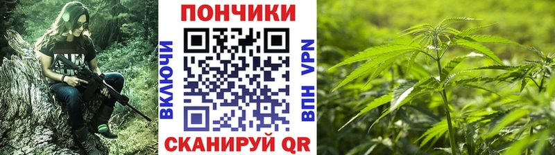 ОМГ ОМГ ТОР  Ярцево  Бошки Шишки SATIVA & INDICA 